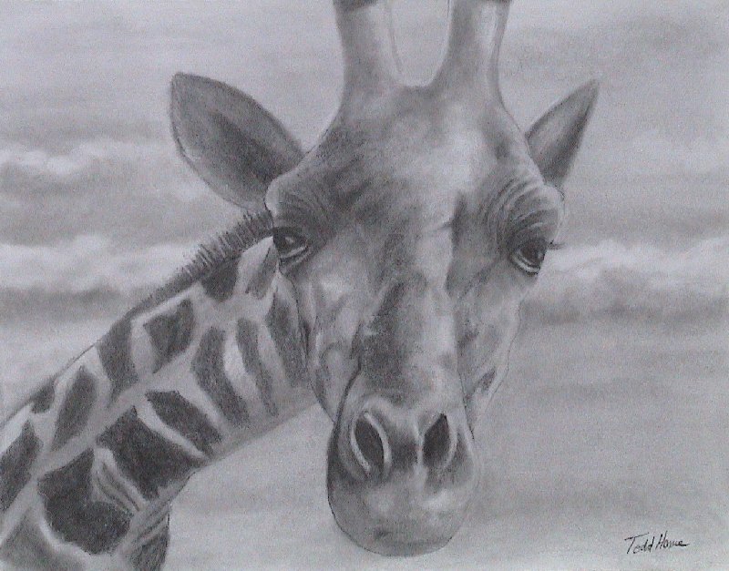 Todd Horne  Artwork
